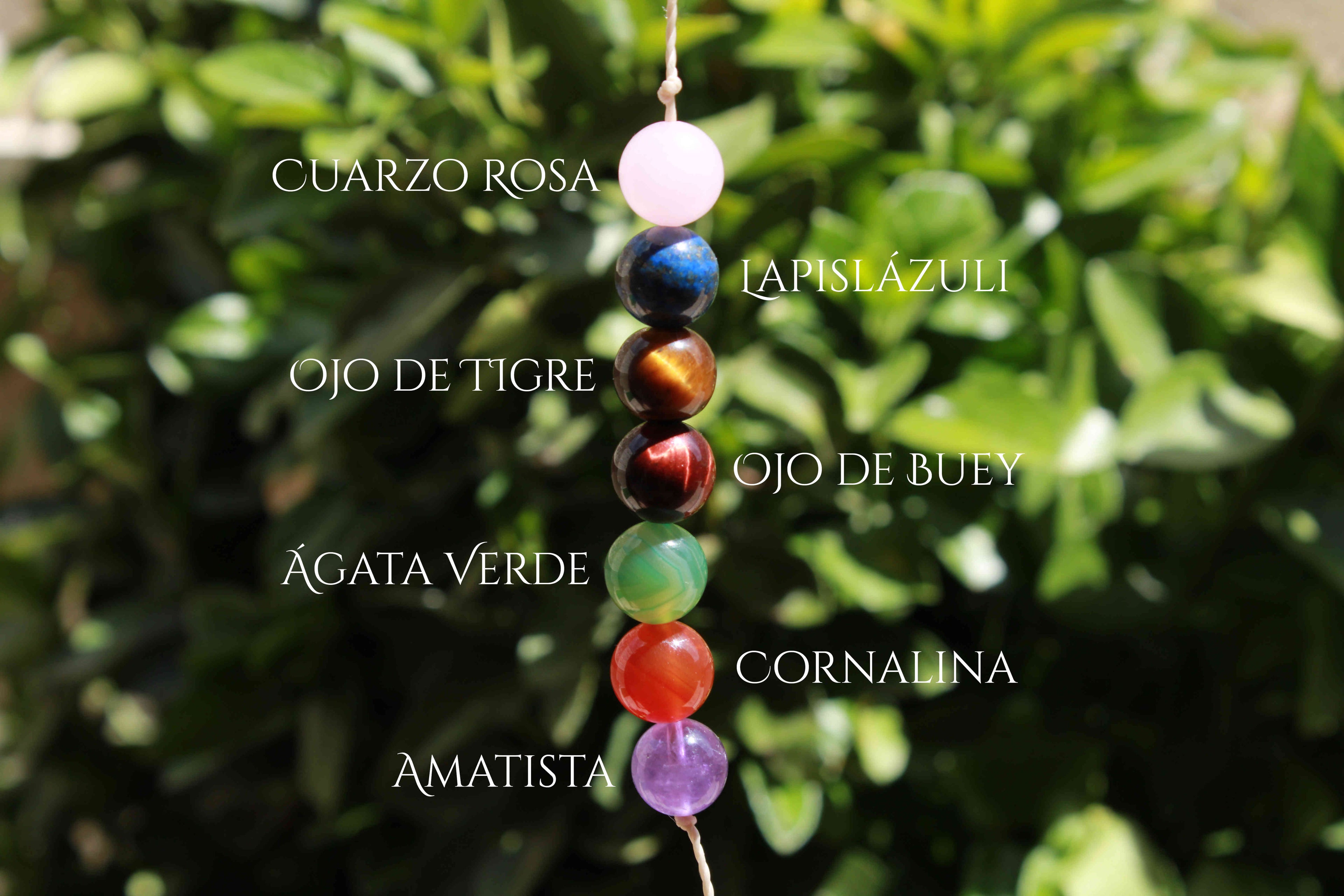 Collar Simplex Personalizable