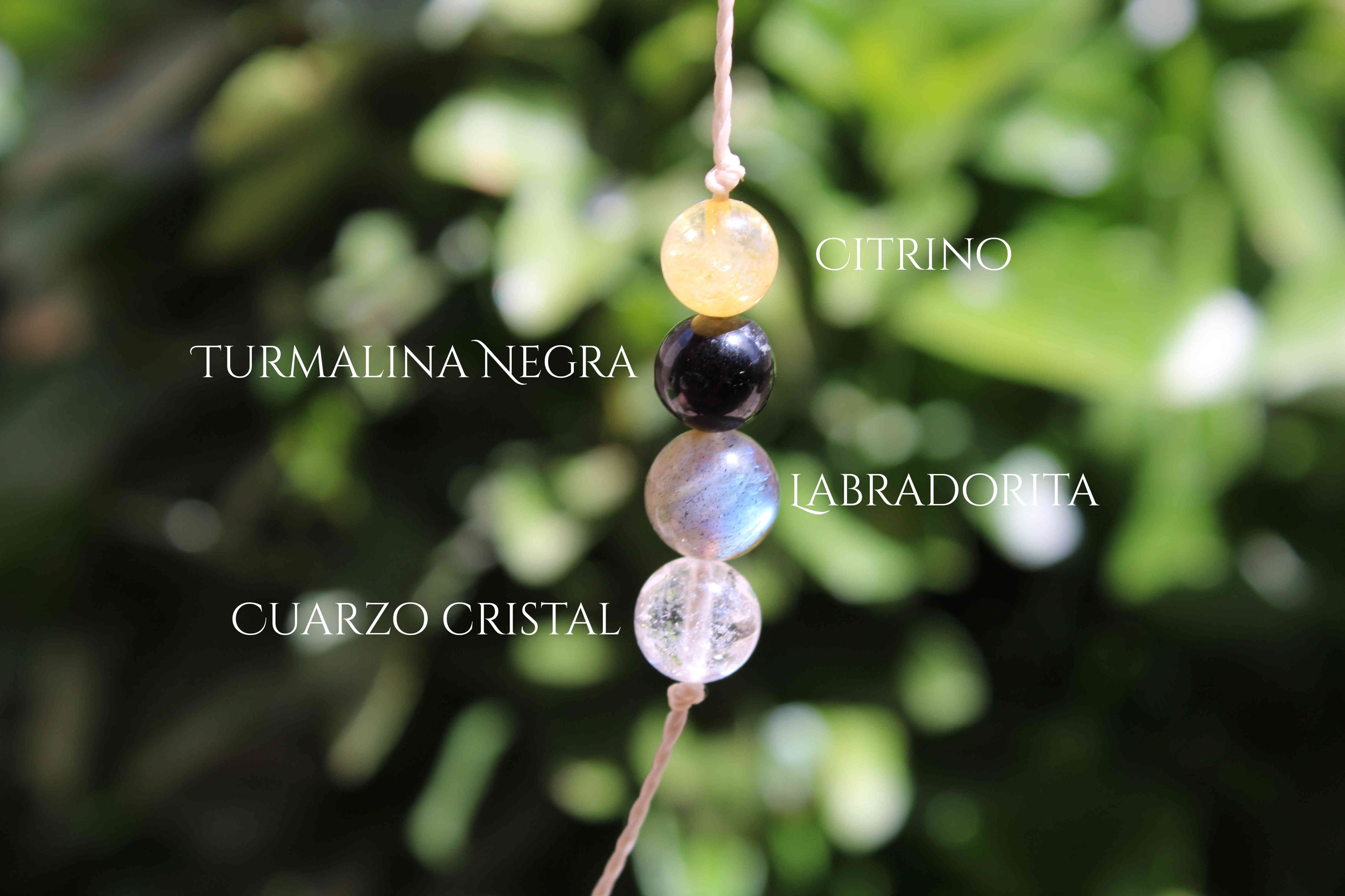 Collar Simplex Personalizable
