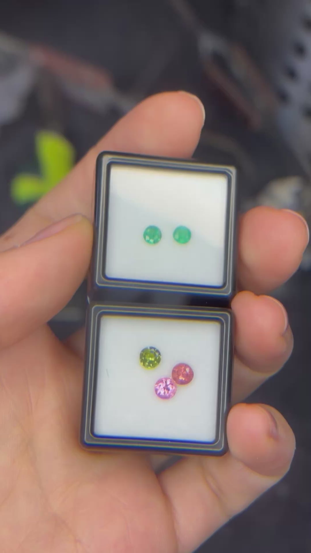 Anillo enredadera. Elige el tuyo