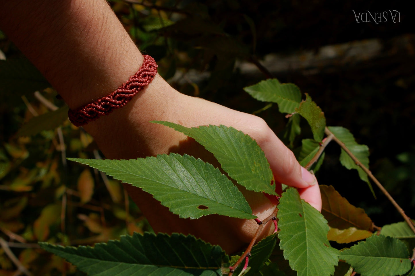 Pulsera Oleaje